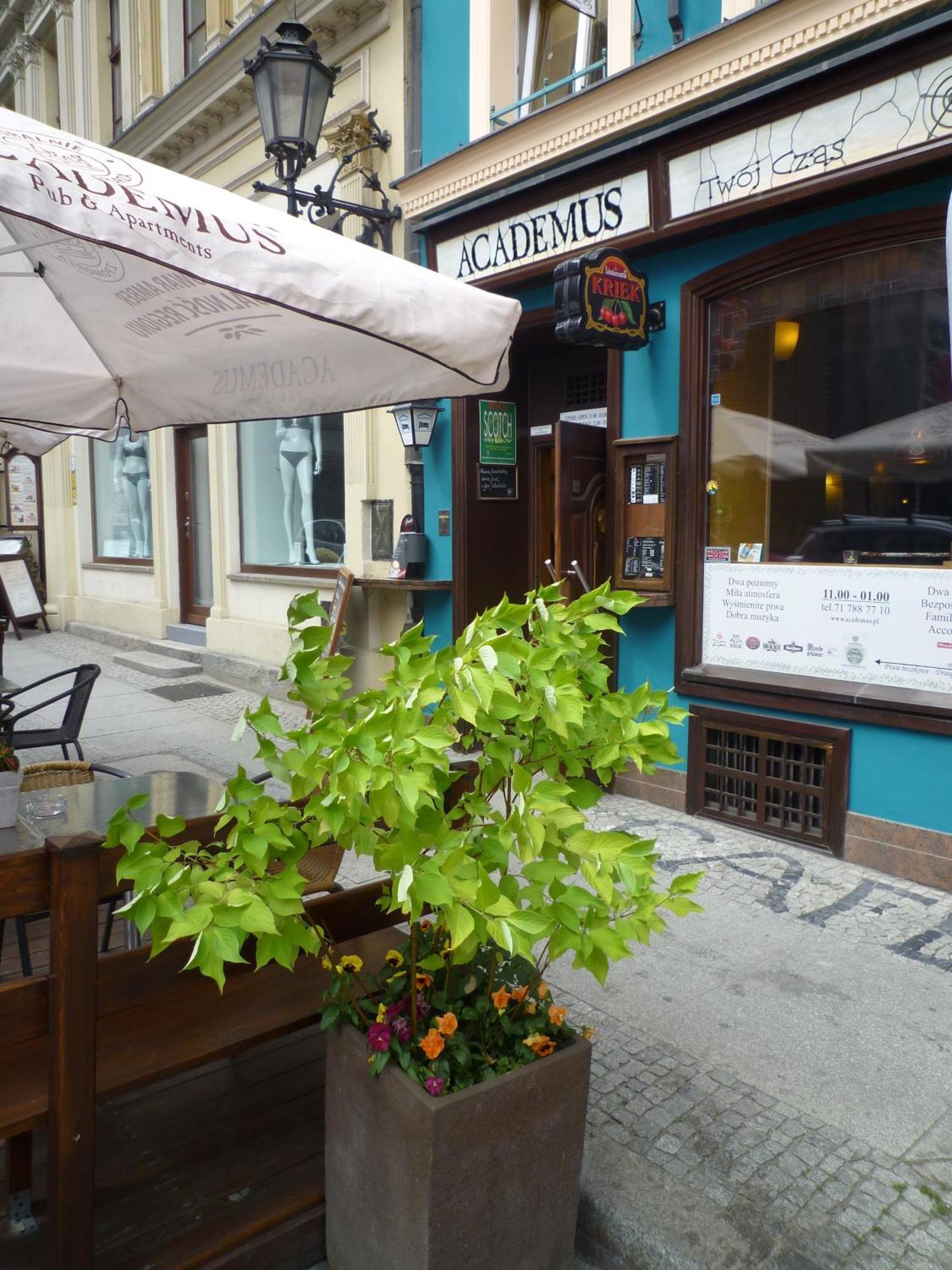 Academus Pub & Guest House Breslavia Esterno foto